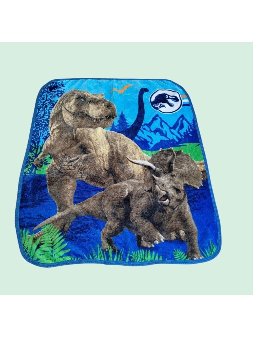 Jurassic World Throw Blanket Fleece Dinosaur T-Rex Raptor Travel Lap Afghan